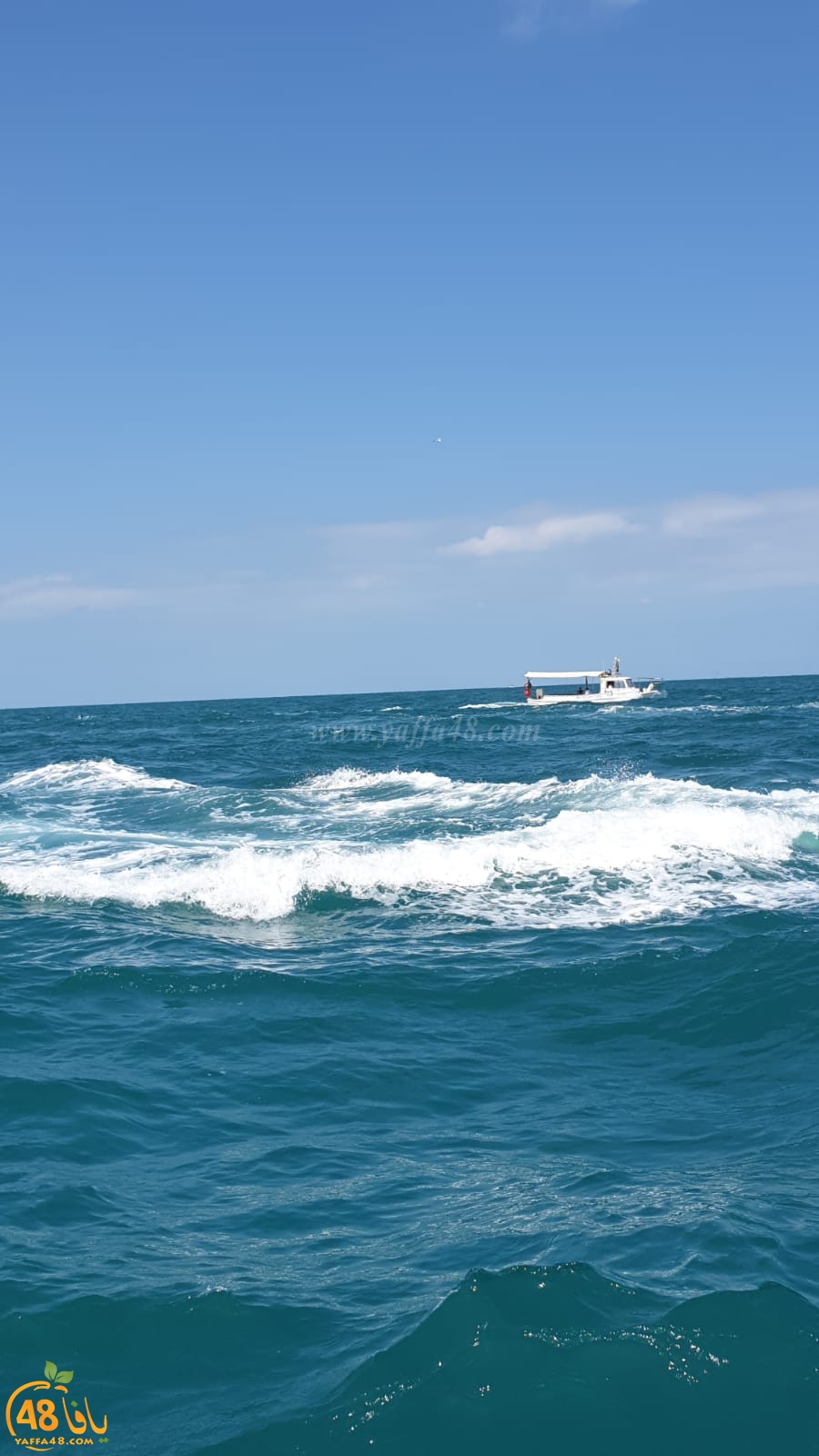  فيديو: انطلاق قافلة زوارق الصيادين البحر رزقنا وموروثنا 3 من ميناء يافا